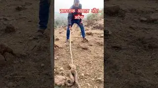 #snake #shortvideo #song #trendingshorts #wildliferescue #forest #share