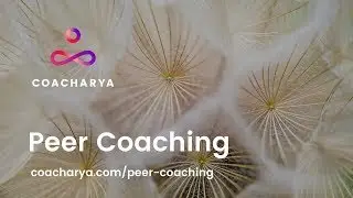 Peer Coaching - Join us free to practice your coaching skills