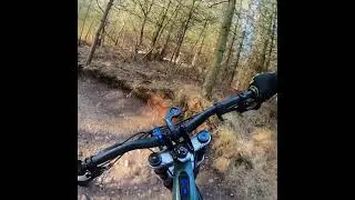 Tackeroo to Birches Valley Car Park