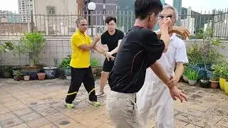 7 &deg; Two Man Set Weng Chun Form Sifu Michael Tang