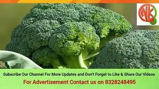 Health Benefits Of Eating Broccoli in Hindi| Urdu 