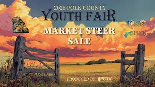 Youth Fair 2026 - Market Steer Show