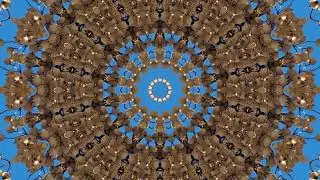 Persian Lilac Tree Kaleidescopic Forest bathing Relaxation video for anxiety, stress and meditation