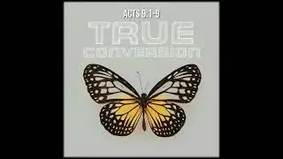 Acts 9:1-9 | True Conversion | Believers Church - Duluth Church Sermons - Verse by Verse Bible St...