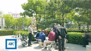 北京和平里中街 一条普通的街道｜Hepingli Middler Street - An ordinary Street in Beijing#中国 #北京 #长安街 #beijing #china