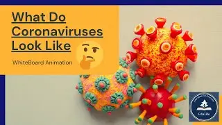 STRUCTURE of Coronavirus In ENGLISH | COVID-19 | EduLife