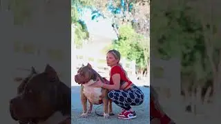 Bossy Kennels Owner and the 160 lb. XL American Bully Tarzan camera ready