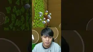 coin di atas duri