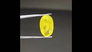 #YellowSafir