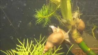 Onderwaterwereld