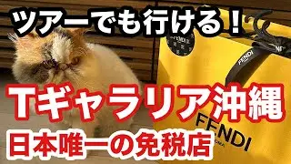 日本唯一の免税店【Tギャラリア沖縄】でハイブランドバッグ購入🧳