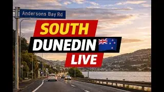Live NZ Drive New Zealand | South Dunedin & Andersons Bay | Friday Evening Drive