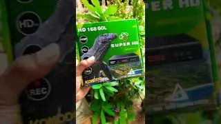 stb super hd 168 gol komodo#elektronik #promo #murahtapigamurahan