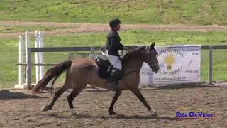 107S Ashley Shrader Open Beginner Novice Show Jumping Shepherd Ranch August 2018