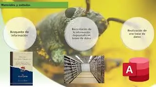 Entiminae