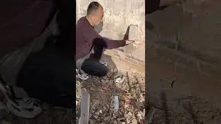 p481,There are problems with water seepage, moisture, mold and humidity on the exterior walls of my