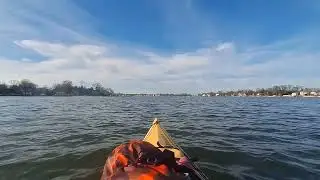 wilson point