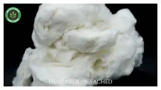 Cottonized HEMP FIBER - BLEACHED -  GOTS / OEKO TEX Certified