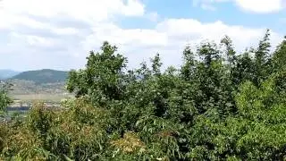 Gul&aacute;cs (Tapolcai-medence tanuhegye)