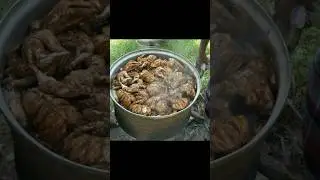CABBAGE CHICKEN ROOL