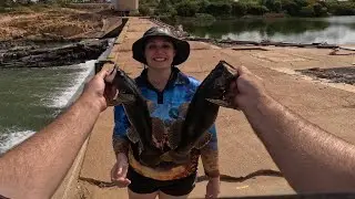Catching big freshwater sleepy cod and sooty&rsquo;s