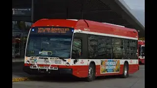TTC Buses 17