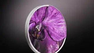 Bionics: Orchid &mdash; 1oz Obsidian Black Silver Coin (2026)