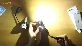 LED лампа Narva HIR2 6000K 19W 12-24V 181868100