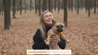How to Train Your Dog to Stop Barking Excessively &ndash; Enjoy Peaceful, Happy Days with Your Pet