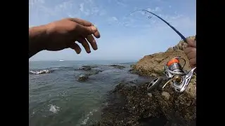 PECHE DU BAR aux leurres JUIN 2023