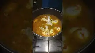 ٢٥ ديسمبر ٢٠٢٥