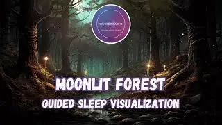 Moonlit Forest : Guided Sleep Visualization