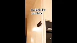ML-ZN80 Now Available to Purchase