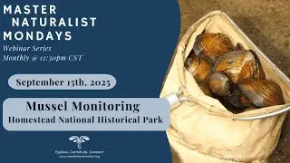 Mussel Monitoring at Homestead National Historical Park: September 15th, 2025