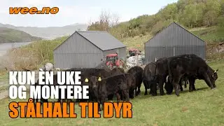 Stålhall fra wee.no - Tungesvik Gard (kundereferanse)