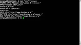How to check distribution name, kernel version in Debian, Ubuntu