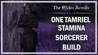 STAMINA SORCERER BUILD One Tamriel - The Elder Scrolls Online Review