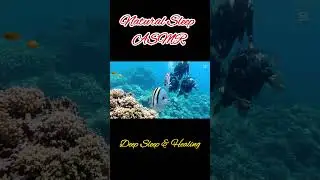 Natural Sleep ASMR &ndash; Deep Sleep, Healing Energy & Calm Nature Sounds