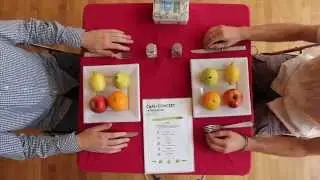 Le Frutophone