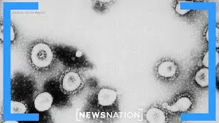 US cautious as China begins extensive COVID-19 lockdown | Rush Hour