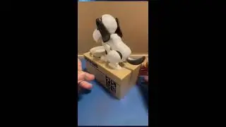 Lets Play Hungry Eating Dog Coin Bank ASMR #shortslive #shortsfeed #asmrsounds