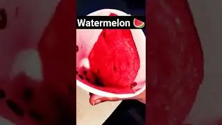 watermelon#youtubeshorts#fruit#goan#Tarabooj#watermelon
