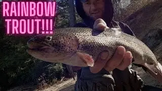 TROUT fishing in a STOCKED POND!!! (Al's Goldfish SPOON!!!)
