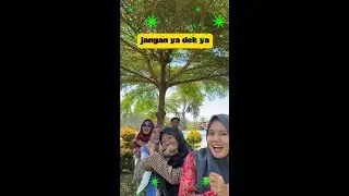 TIPS UKIN PPG