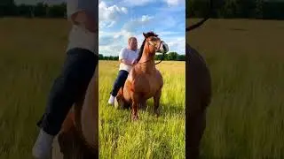 T2x2 My Friend Turned Into a HORSE