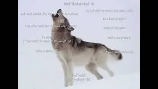 Wolf Therian tips and crafts!   ~ tags ~ #wolftherian #antizoo #therian #therianthropy 
