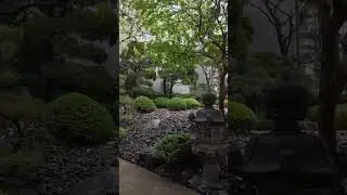 stopped by this coffee shop to hide frm the drizzle in Seoul🌧️ #korea #cafe #coffee #seoul #travel