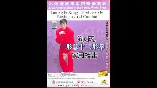 SUN style XING YI . 12 Animals Combat (Part 2)