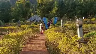 Butterfly garden ,#  medicinal plant,nature view # daringbadi #travel guide.