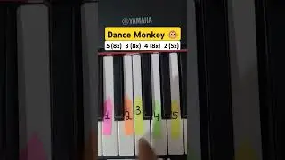 Easy Piano Tutorial &ndash; Dance Monkey 🎹🐒